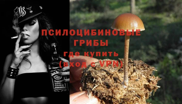 mdpv Арсеньев